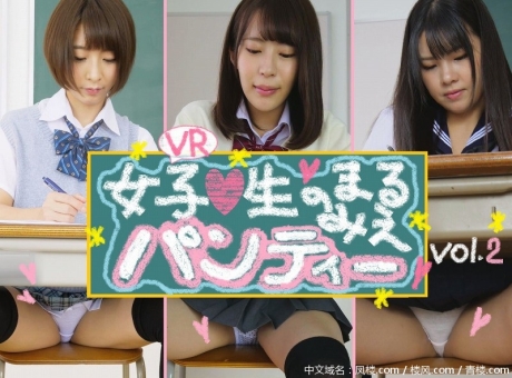 D-005 【VR】VR 女子●生のまるみえ パンティー vol.2
